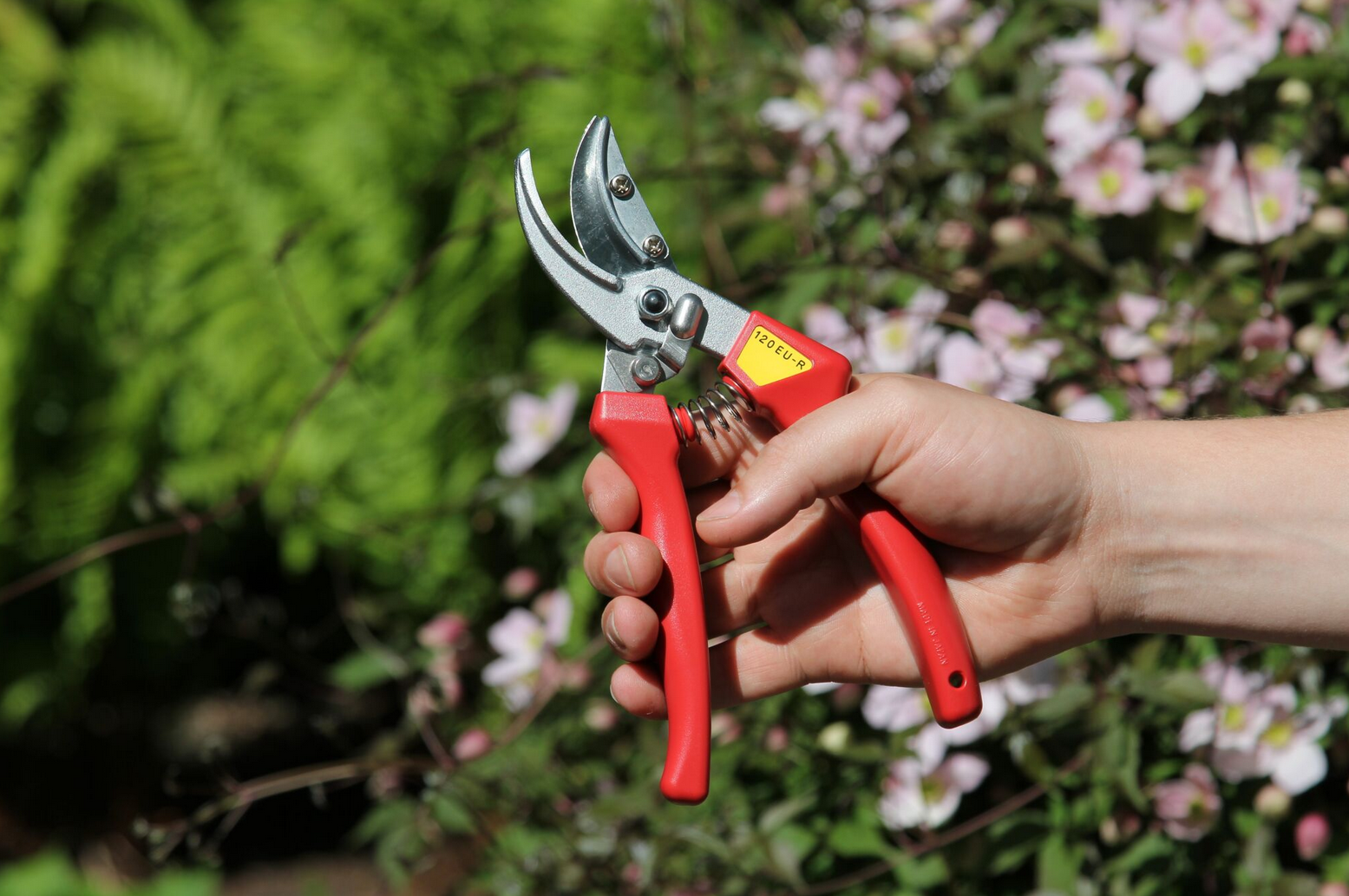 ARS 120EU-R – Bild 3