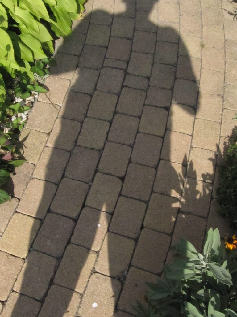 IMG 2367