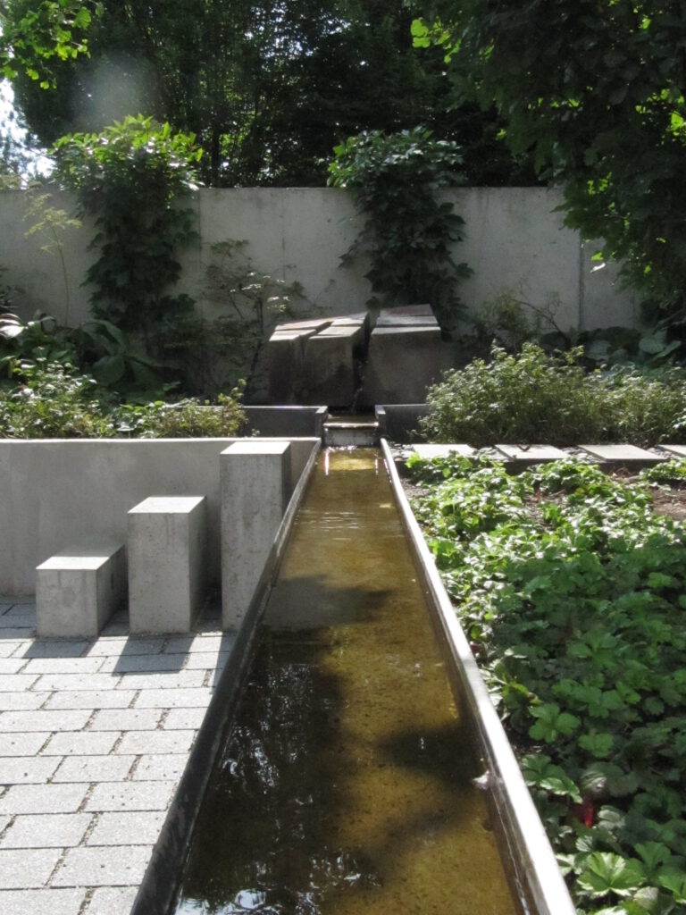 IMG 2407