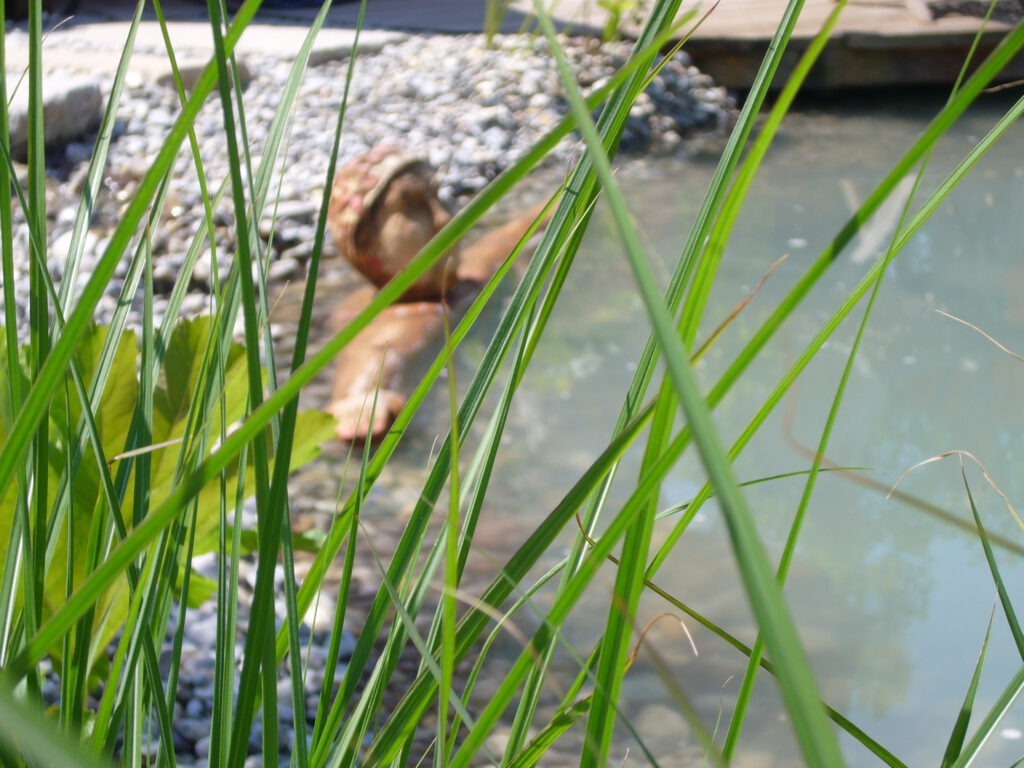 Gartenausstellung im neuen Schloß Ingolstadt, Juni 2007 30 P1000602